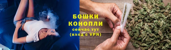 ПСИЛОЦИБИНОВЫЕ ГРИБЫ Абаза