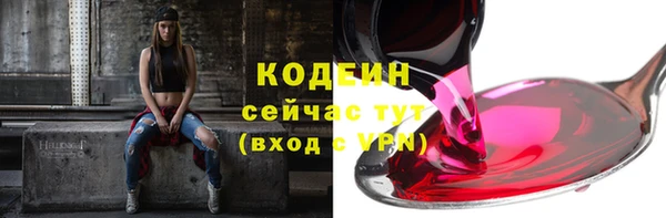 ПСИЛОЦИБИНОВЫЕ ГРИБЫ Абаза