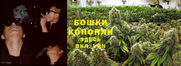 ПСИЛОЦИБИНОВЫЕ ГРИБЫ Абаза