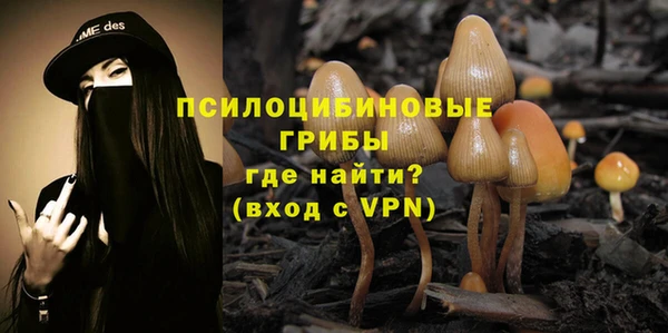 ПСИЛОЦИБИНОВЫЕ ГРИБЫ Абаза